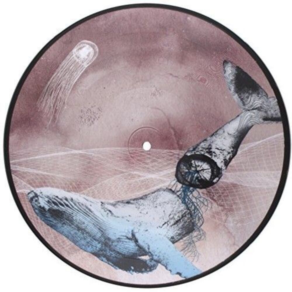 Mestis - Basal Ganglia  LP LP